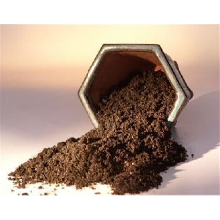 Parche 2 lbs Bonsai Conifer Soil Mix with Outdoor & Juniper Trees PA2529760